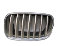 K�hlergrill Grill Frontgrill Links<br>BMW X6 (E71, E72) 35I