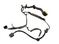 Kabel T�r rechts hinten <br>RENAULT MEGANE III GRANDTOUR (KZ0/1) 1.5 DCI