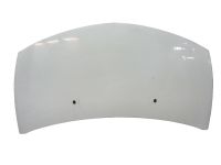 Motorhaube Haube Blanc Glacier OV369<br>RENAULT CLIO III (BR0/1, CR0/1) 1.5 DCI