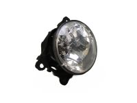 Nebelscheinwerfer links vorn <br>RENAULT SCENIC III (JZ0/1) 1.5 DCI