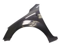 Kotfl�gel links Black Pearl 1K<br>KIA CEE D SW ED 2.0