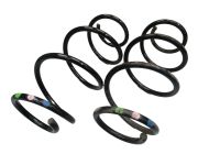 Federsatz Feder Federn hinten<br>DACIA LODGY JS 1.2 TCE