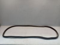 Dichtung Trrahmen Einstieg links hinten <br>VOLVO S40 II (544) 1.6 D