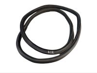 Dichtung Trrahmen Einstieg rechts hinten <br>SEAT IBIZA V (KJ1) 1.0 TSI