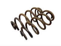 Federnsatz Hinterachse <br>AUDI A4 (8E2, B6) 2.0