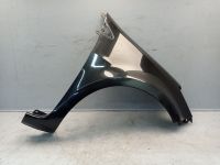 Kotfl�gel rechts Pearlescent Black<br>RENAULT CLIO III (BR0/1, CR0/1) 1.2 16V