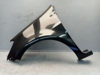 Kotfl�gel links Pearlescent Black<br>RENAULT CLIO III (BR0/1, CR0/1) 1.2 16V