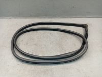 Dichtung T�rrahmen Einstieg vorne links <br>MAZDA 6 KOMBI (GH) 2.2 MZR-CD