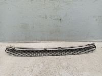 Gitter Sto�stangengitter hinten<br>VW GOLF VI VARIANT (AJ5) 1.6 TDI