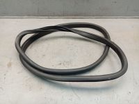 Dichtung T�rrahmen Einstieg links hinten <br>MERCEDES A-KLASSE W176 A 180