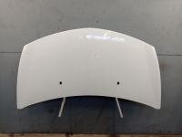 Motorhaube Haube Artikwei� OV369<br>RENAULT CLIO III (BR0/1, CR0/1) 1.2 16V