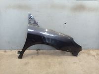 Kotfl�gel rechts Astergrau EYJ<br>CITROEN C8 (EA, EB) 2.2 HDI