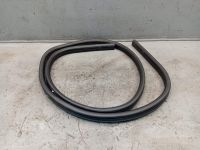 Dichtung T�rrahmen Einstieg vorne rechts <br>SMART FORFOUR (454) 1.5