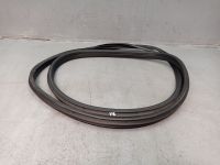 Dichtung T�rrahmen Einstieg vorne rechts <br>OPEL ASTRA H GTC (L08) 1.4