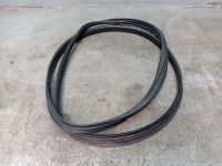 Dichtung T�rrahmen Einstieg vorne rechts 3-T�rer<br>RENAULT CLIO III 3 BR0/1, CR0/1 1.2 16V