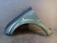 Kotfl�gel links Brassy Green (TED97)<br>RENAULT SCENIC II (JM0/1) 1.6