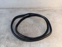 Dichtung T�rrahmen Einstieg rechts hinten <br>MERCEDES C-KLASSE W204 C 200 CDI