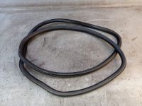 Dichtung T�rrahmen Einstieg vorne links <br>SEAT IBIZA IV SPORTCOUPE (6J1, 6P5) 1.2