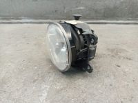 Nebelscheinwerfer links <br>RENAULT MEGANE IV GRANDTOUR (K9A/M) 1.2 TCE 100