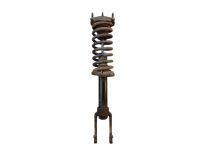 Federbein Sto�d�mpfer vorne links <br>JEEP GRAND CHEROKEE III (WH, WK) 3.0 CRD 4X4