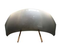 Motorhaube Haube Silber (KY0)<br>NISSAN NOTE (E12) 1.2