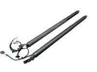 Heckklappend�mpfer Set 2-teilig<br>HYUNDAI TUCSON (TL, TLE) 1.6 T-GDI AWD