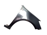 Kotfl�gel rechts Gris Eclipse (TEB66)<br>RENAULT CLIO III (BR0/1, CR0/1) 1.2 16V