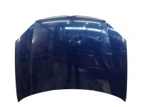 Motorhaube Haube Shadowblue LD5Q<br>VW GOLF V (1K1) 1.9 TDI