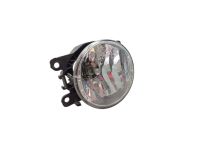 Nebelscheinwerfer links <br>RENAULT SCENIC III (JZ0/1) 1.2 TCE