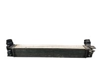 Ladeluftk�hler <br>RENAULT SC�NIC III (JZ0/1) 1.2 TCE