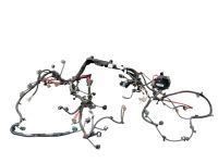 Kabelbaum Motor<br>RENAULT SC�NIC III (JZ0/1) 1.2 TCE