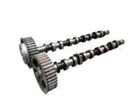 Nockenwelle Set 2 St�ck K4M 812<br>RENAULT MEGANE II CABRIO (EM0/1)