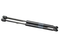 Heckklappend�mpfer <br>HONDA CR-V II 2 (RD_) 2