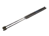 Heckklappendmpfer <br>FORD FUSION (JU_) 1,6