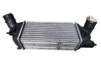 Ladeluftk�hler <br>PEUGEOT 407 SW (6E_) 2.0 HDI 135