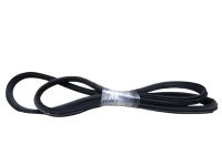 Dichtung Trrahmen Einstieg rechts hinten <br>BMW 7 E65 E66 E67 740D